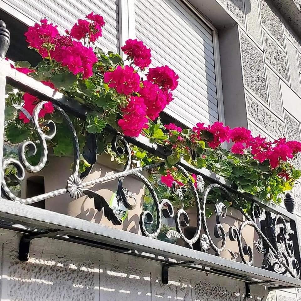 Hills Apartments Vrsac Luaran gambar
